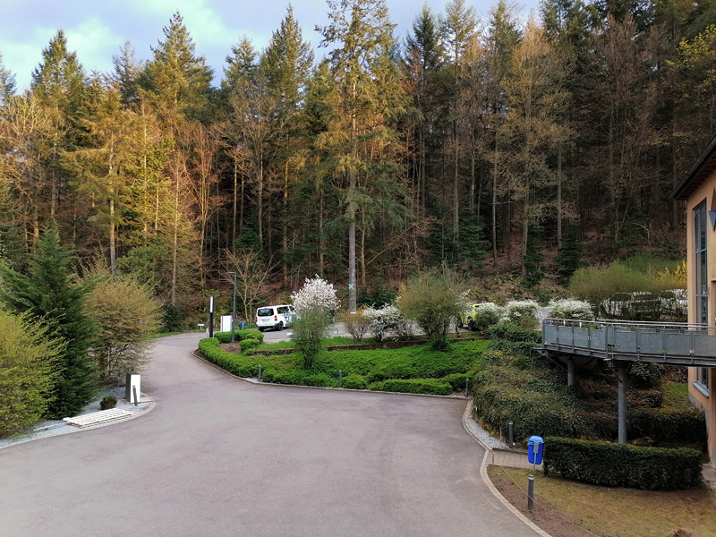 Blick auf den Waldrand, der direkt an die Klinik grenzte