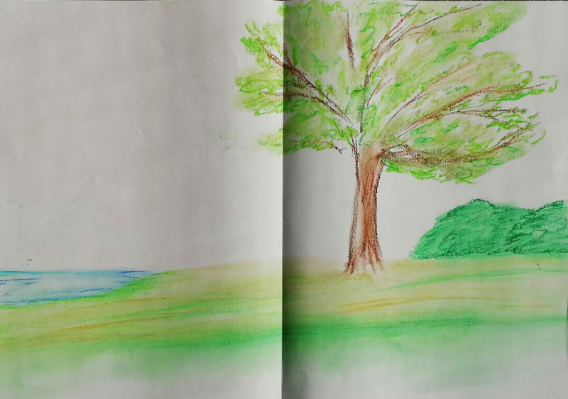Pastellkreide auf Papier, Wiese mit Baum, links ein See, rechts im Hintergrund Gebüsch